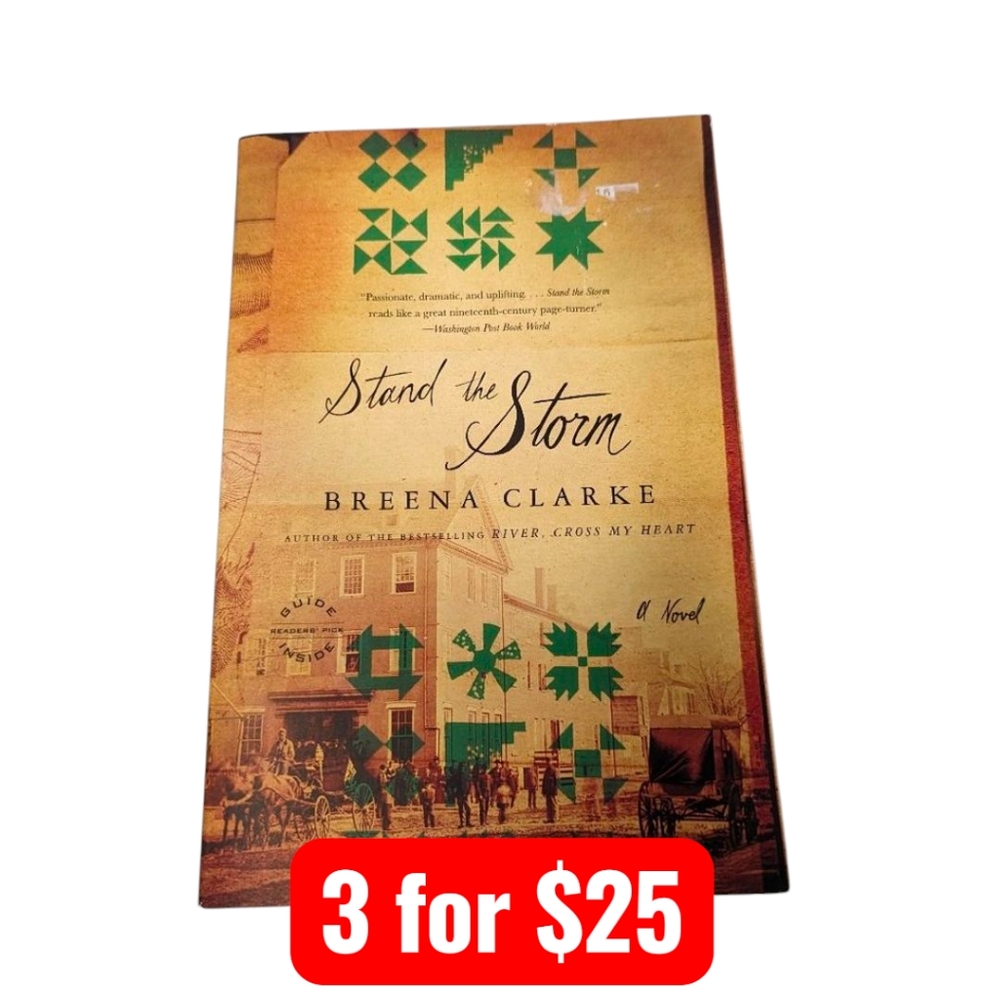 Stand the Storm by Breena Clarke Paperback